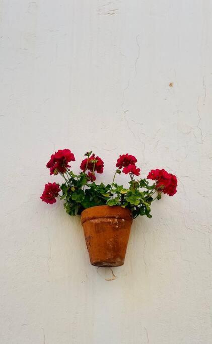 Couples Only, Beautiful 1 Bedroom Apartment In Victoria Building Mojácar Exteriör bild